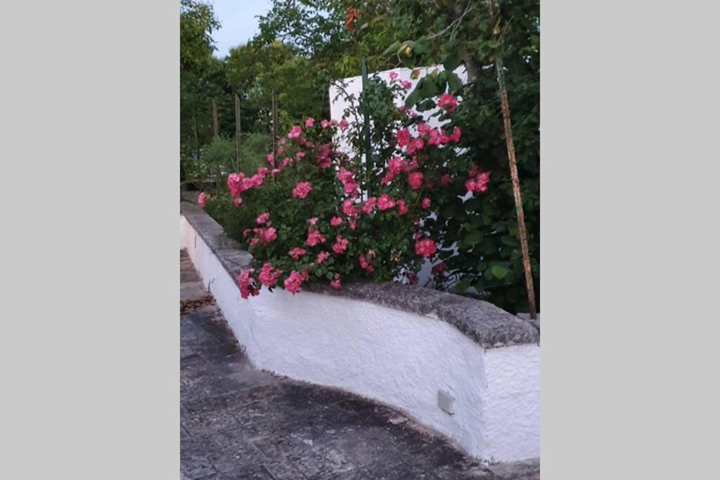 Trulli Relax a Martina Franca Villa Exterior foto
